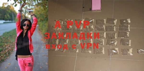 твердый Инсар