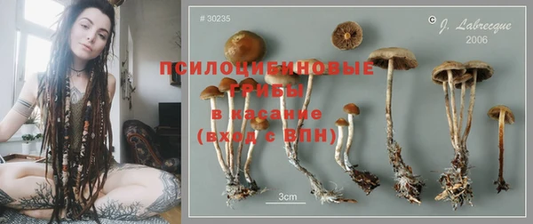 СК Иннополис