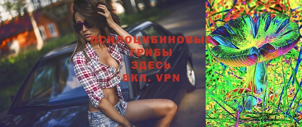 твердый Инсар