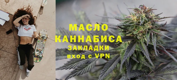 твердый Инсар