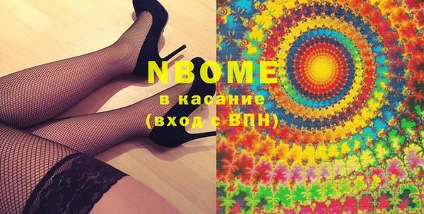 твердый Инсар