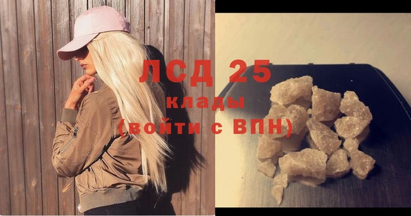 твердый Инсар