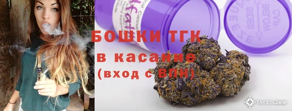 амф Инта