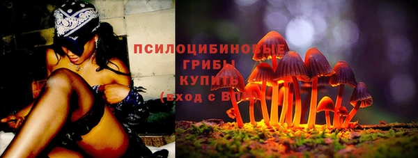 твердый Инсар