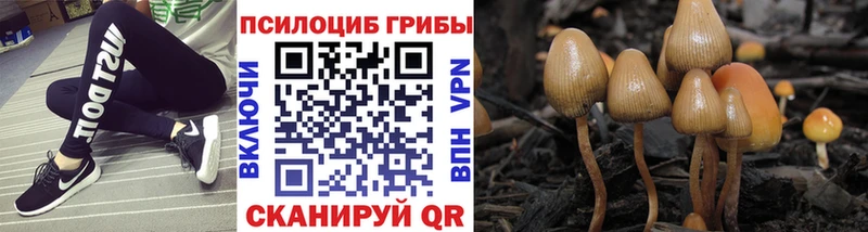 Купить Зарайск Галлюциногенные грибы мицелий